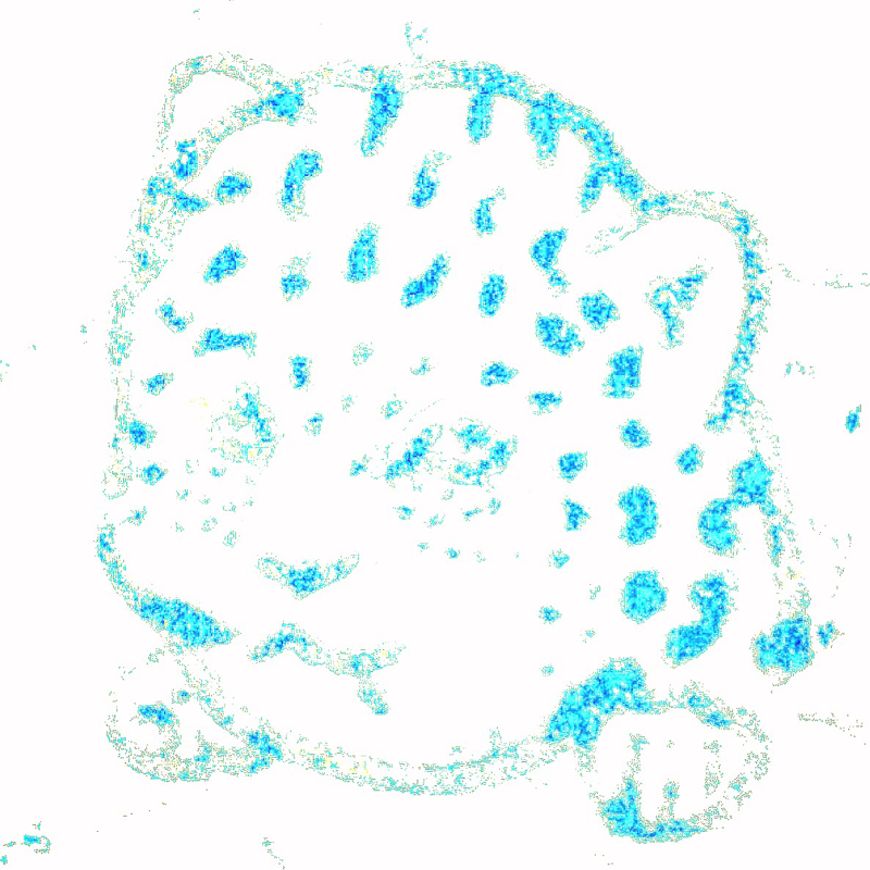 僕の最近(ビジなAir Franceより)