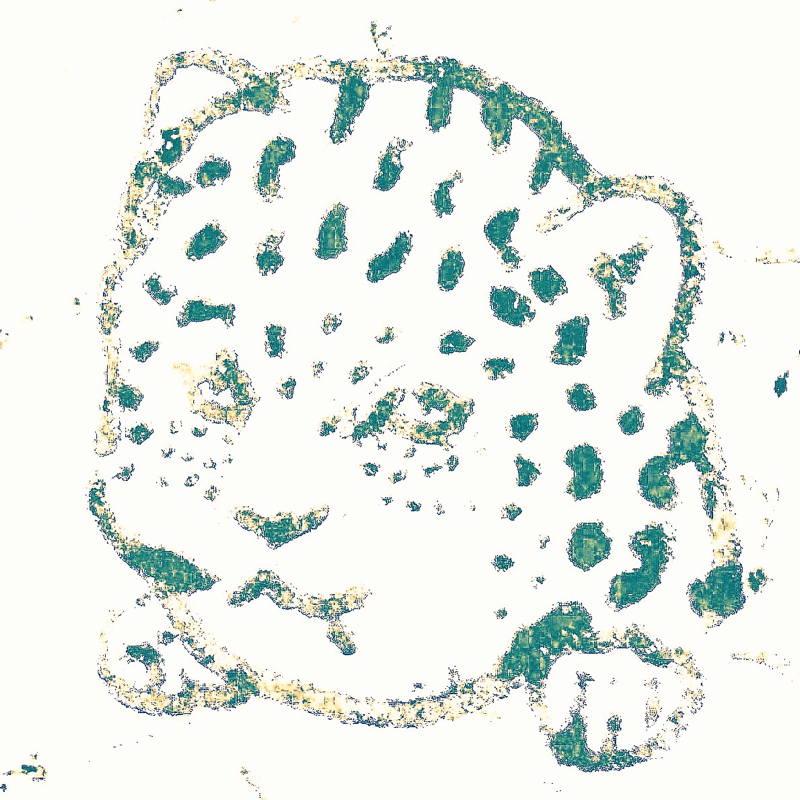 港区は花かな．皆様御元気？