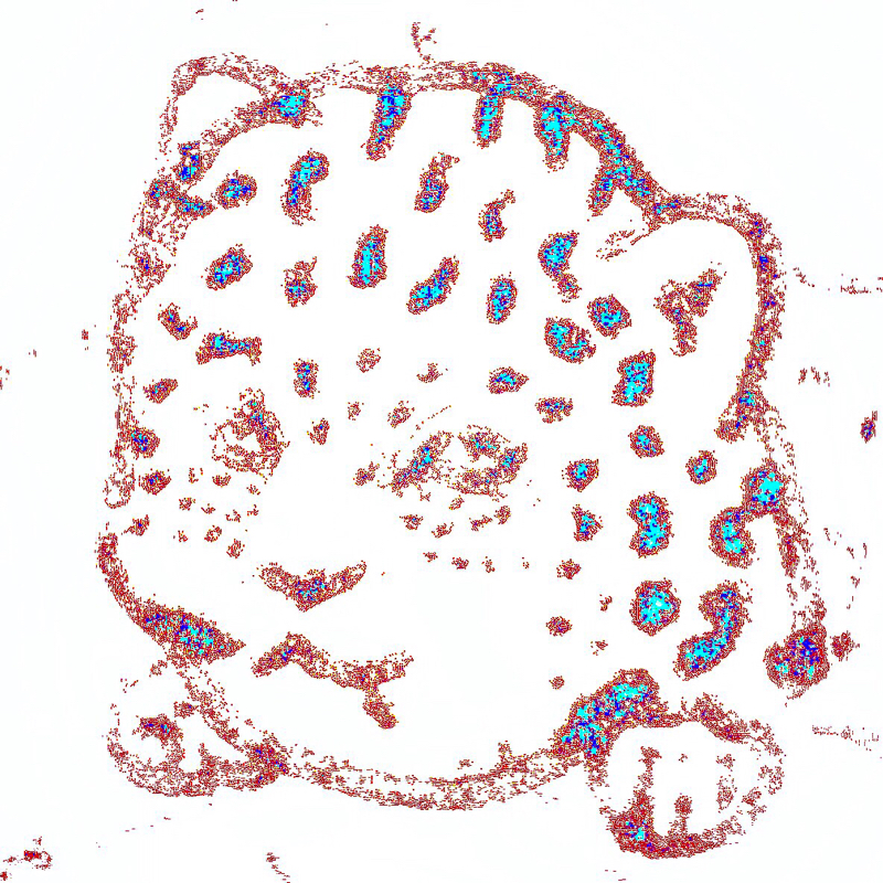 一言、二言。博士は君だ！