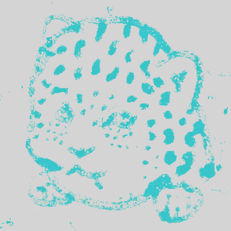 特急。すれ違いましたらば、アッロー？