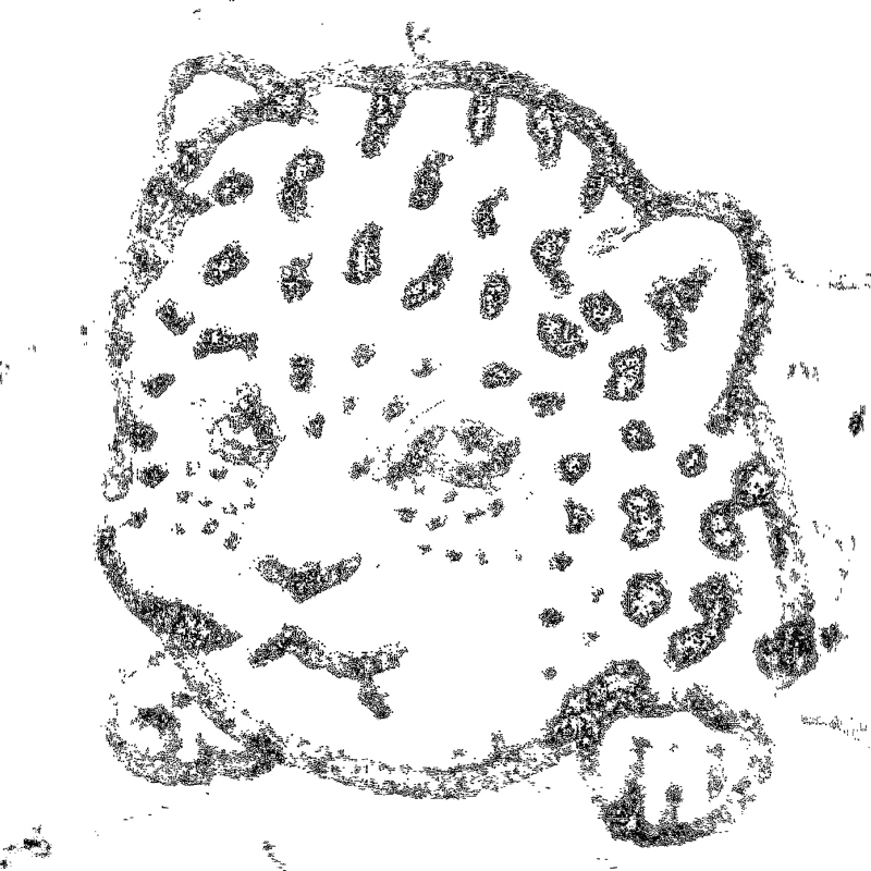 墨、灰色にして、膠也。