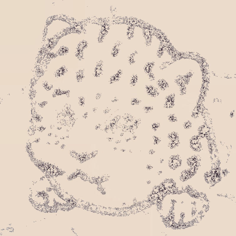 電線に電信。日本にユラシア。