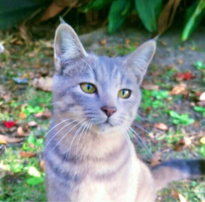 あなたが知らない３０代の男