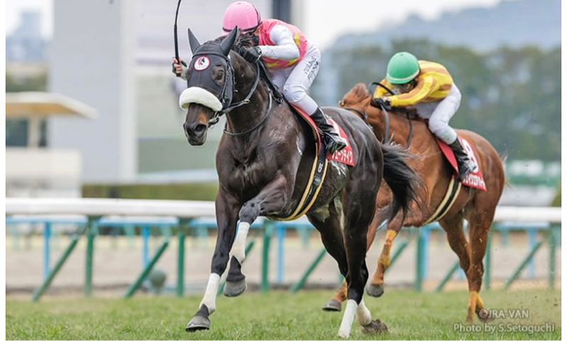 #79 ホントにくすぶってる奴が勝ったじゃん（京都記念、共同通信杯）