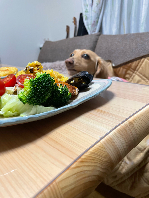 happy Xmas  ウクレレソロ