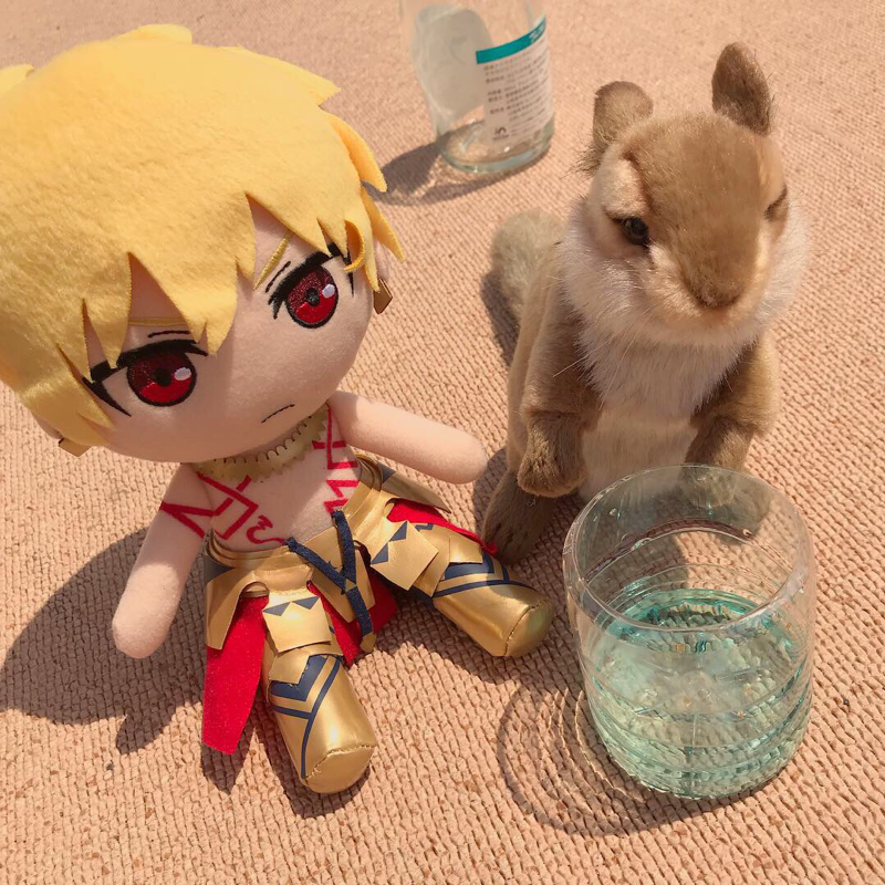 010🕸自カププチありがとう③