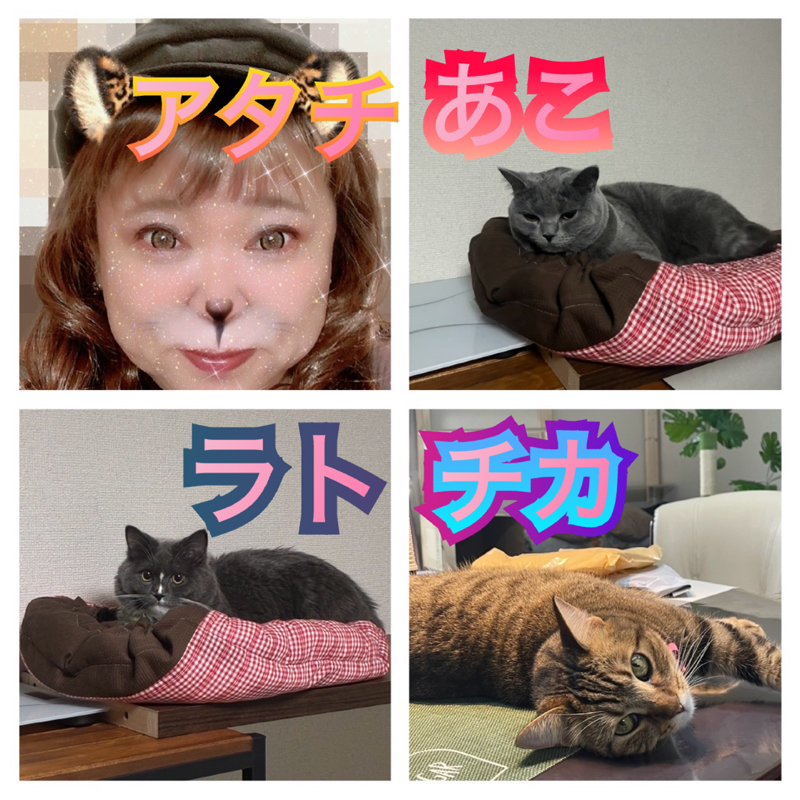 HIMEっち☕𓈒𓏸︎︎︎︎︎💕︎︎あこ･ラト𓏲𓎨𓏲𓎨