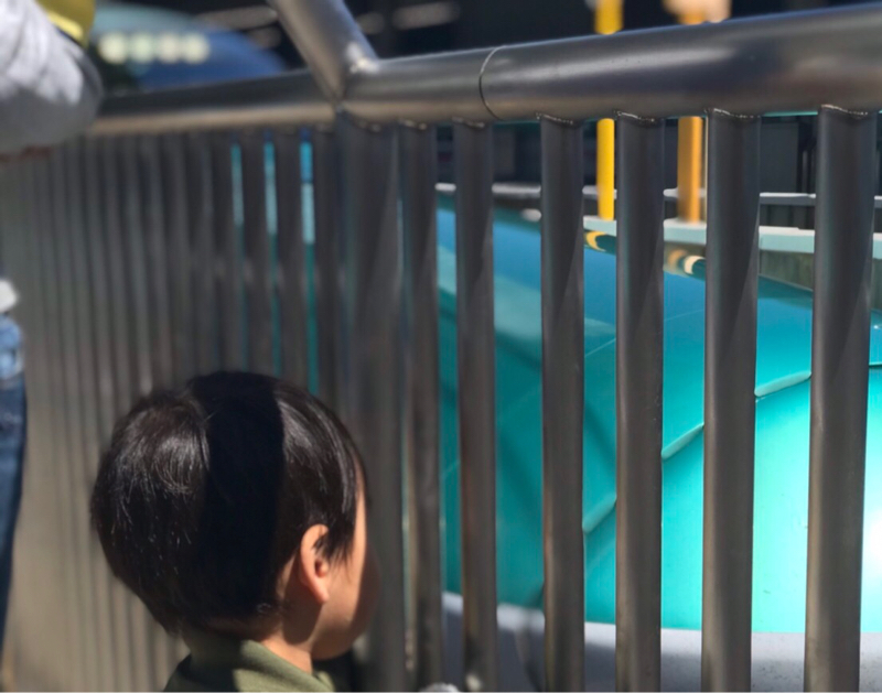 第19回休みの日はひたすら常備菜を作るはなし