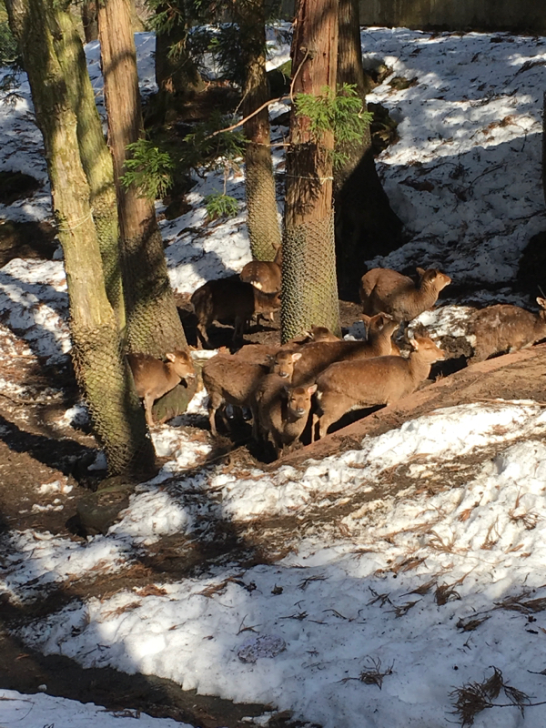 #22  吃音症の王様からラジオの勇気を貰う