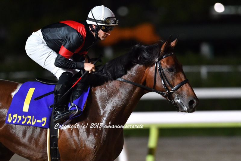 第六回 男二人で競馬の話 「前編」外国人ジョッキーの勢いがすごいよね