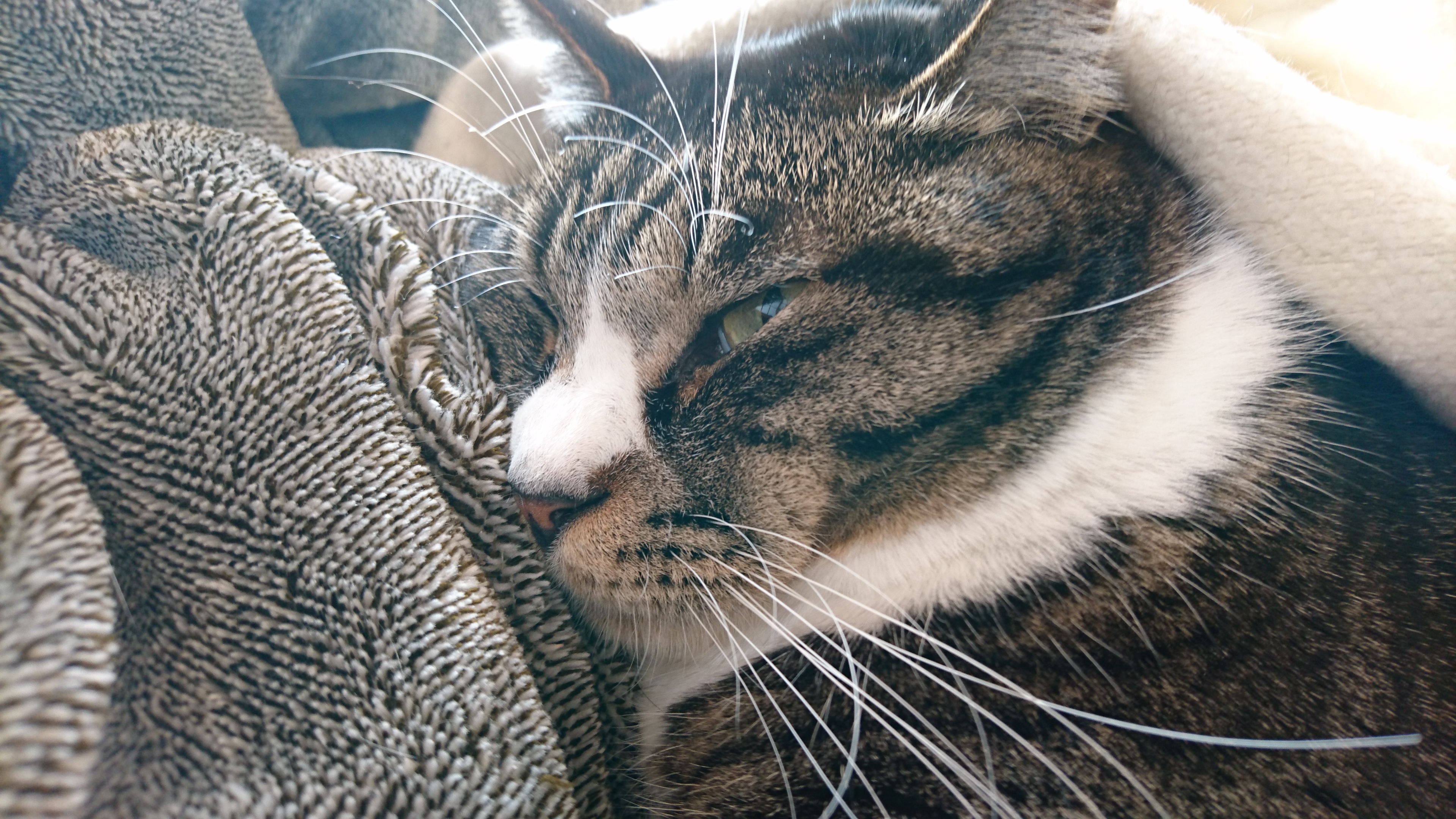 【でぃあうぉーる】賃貸でも手摺は付けられるよ♪