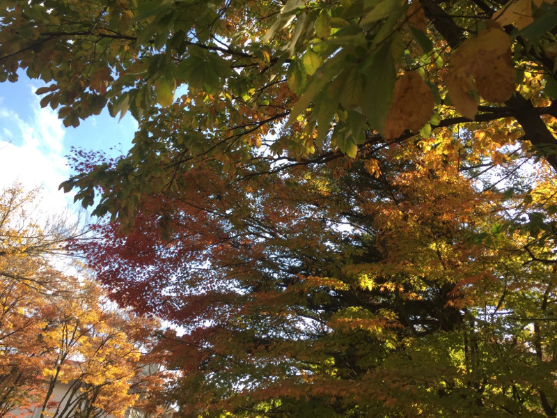 花守企画と菱千利のこと