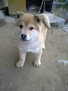 #1 2019は鼻炎を本気で治す！