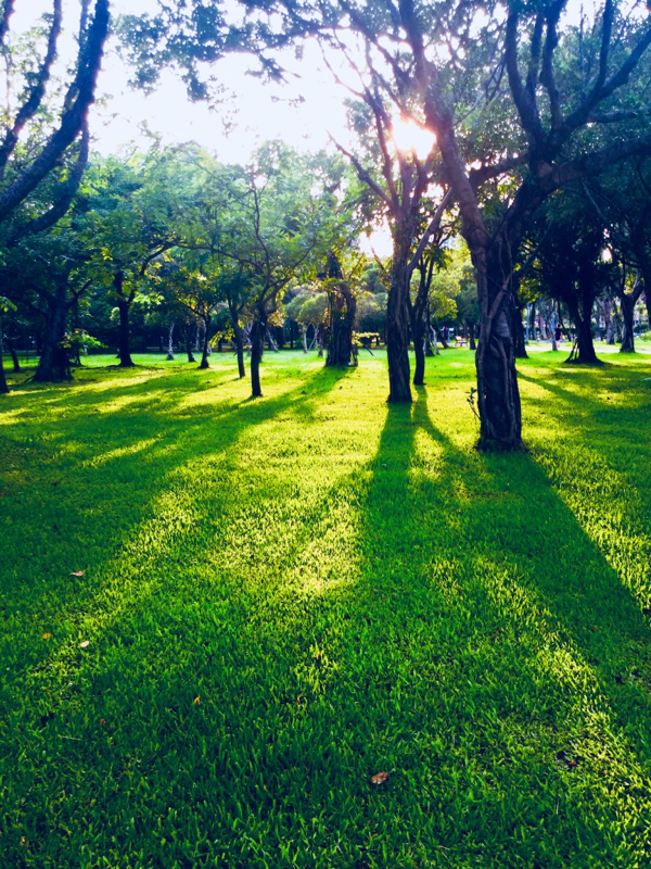 ボイケサペーテ歌ってみたよ。