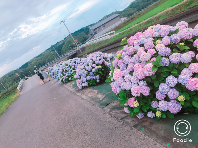 爆死マスターの年末年始とピックアップ