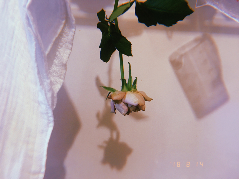 恋愛のfavoriteいかがですか