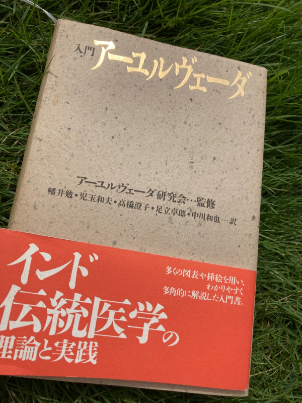 インドから来たホーリーバジル　トゥルシー