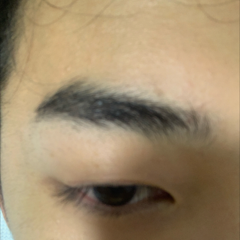 #1079 福田のvlogにまた出た