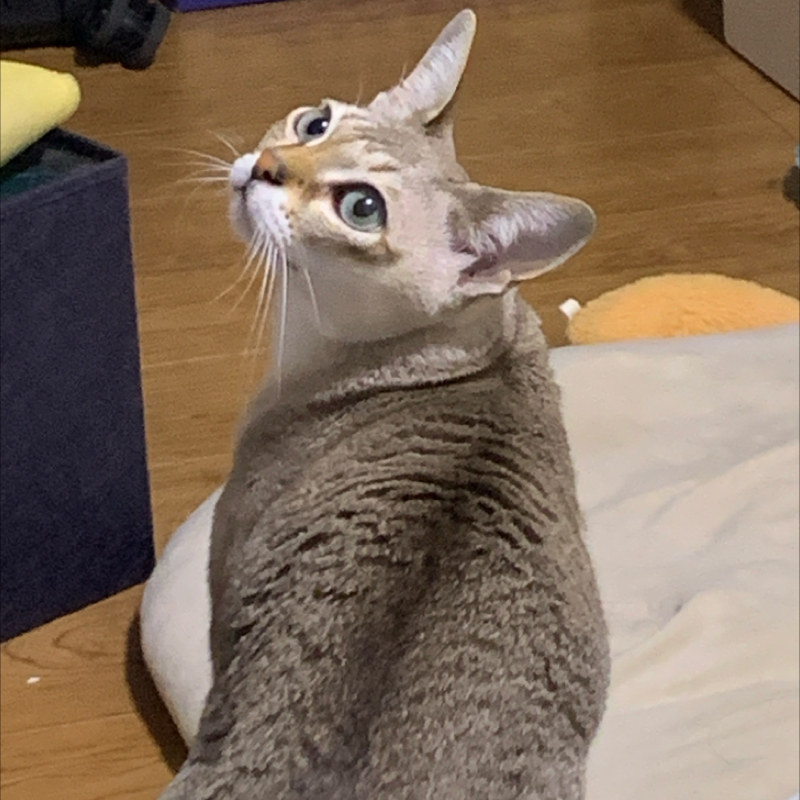 #1147 誰も怒ってない