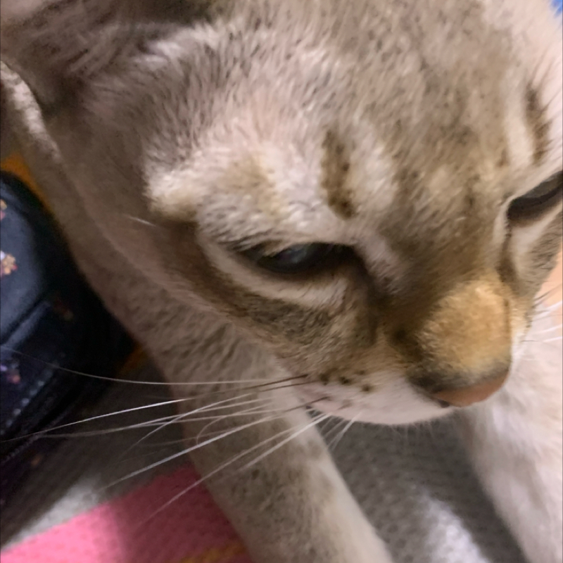 #1152 素直で元気