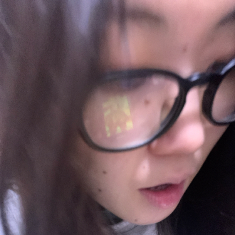 #1158 日誌に書くこと