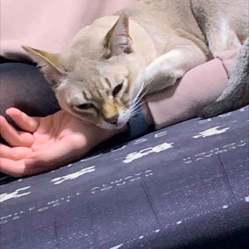 #1161 通過、そして鼻血