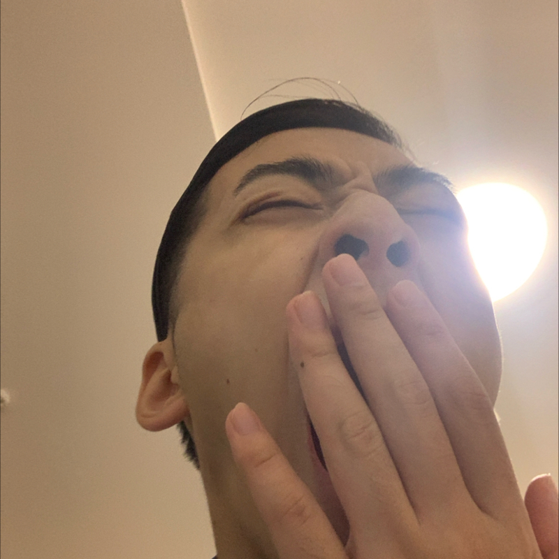 #1163 燻すらしい