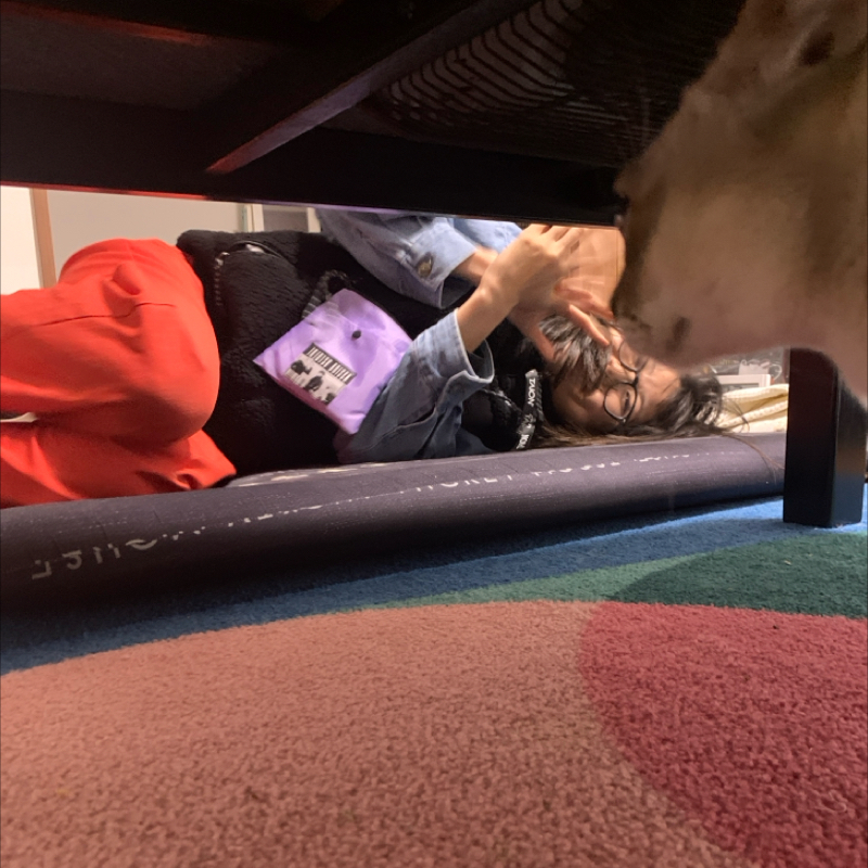 #1165 道民らしさと府民らしさ