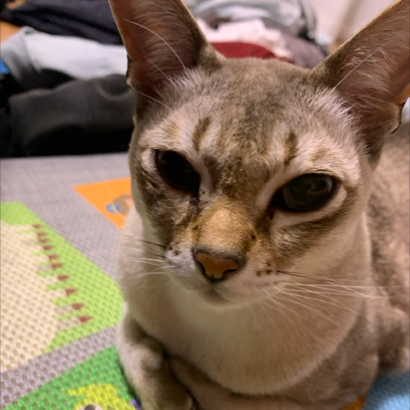 #1171 M-1準々決勝に出てきました