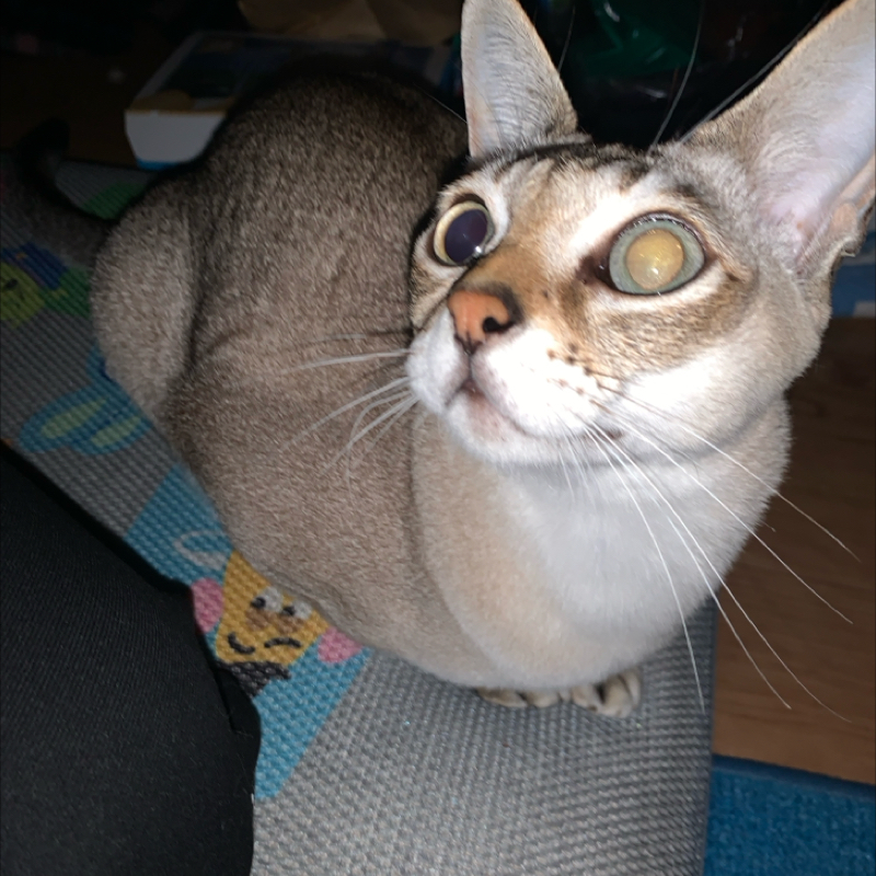 #1173 準々結果待ち！