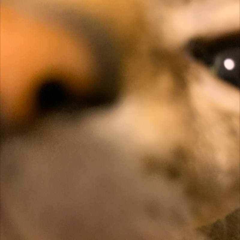 #1178 夜に見た映画