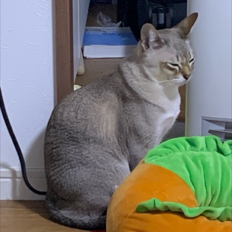 #1187 誘いの極意