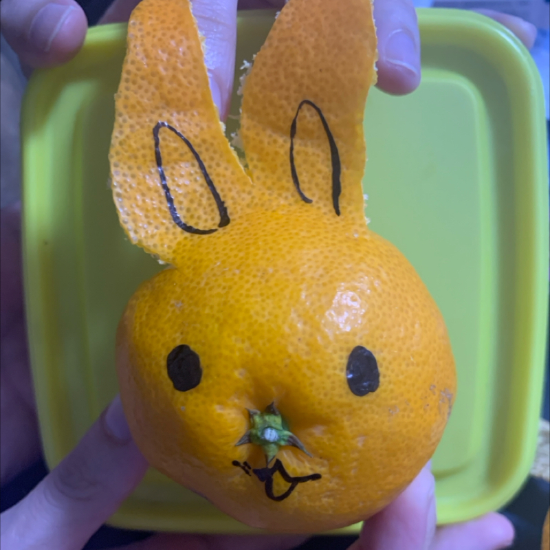 #1188 うさぎミカン