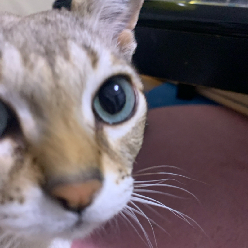 #1190 賞レースの感覚