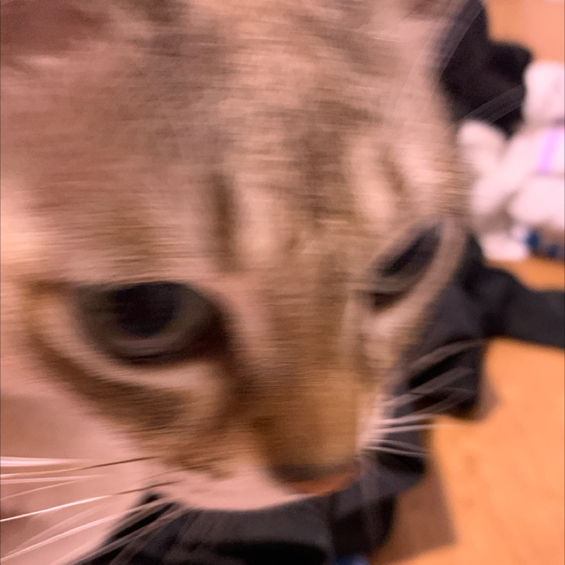 #1194 千早のファーストテイク