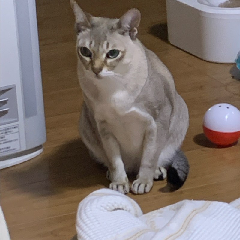 #1201 1100回台の目次①