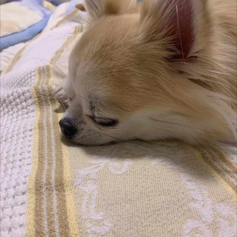 #1214 2025年の締めくくり