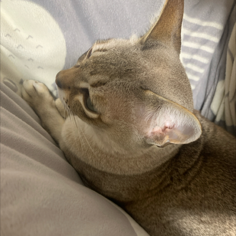 #1239 長野に初上陸！