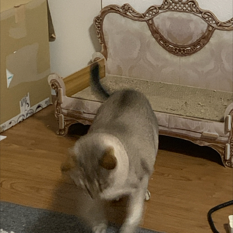 #1269 「手紙」読んだ