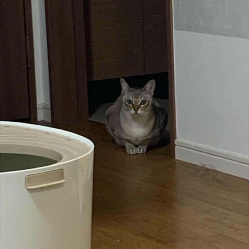 #1276 売れちゃおっかな