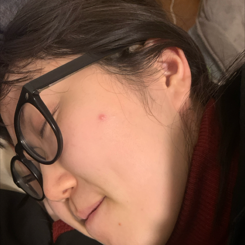 #1279 謝罪ざむらい