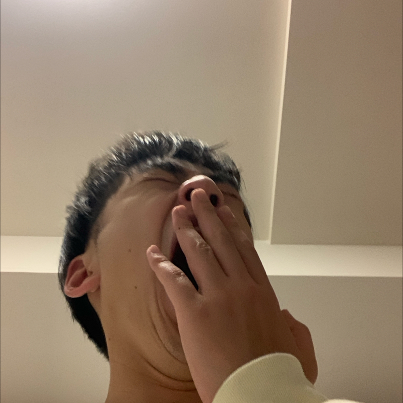 #1291 賢い系譜の猫