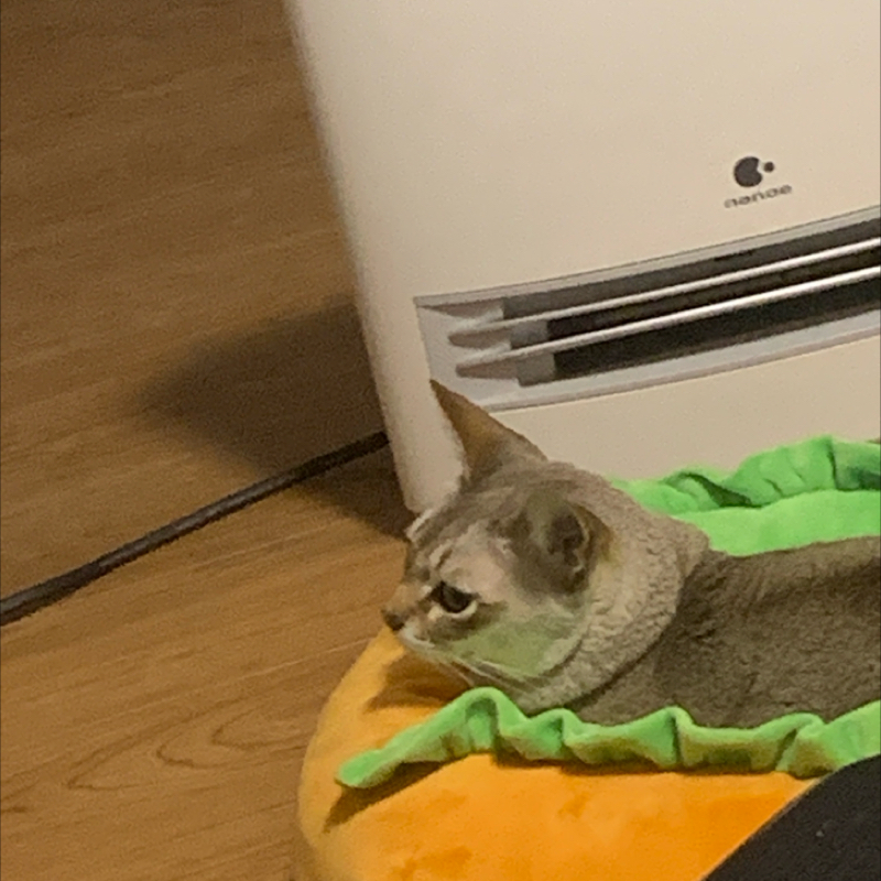 #1302 1200回台の目次①