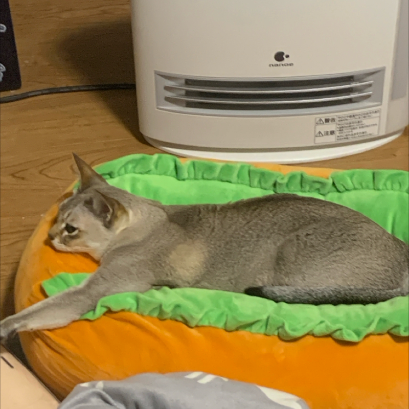 #1308 佐藤健さんの謎解き