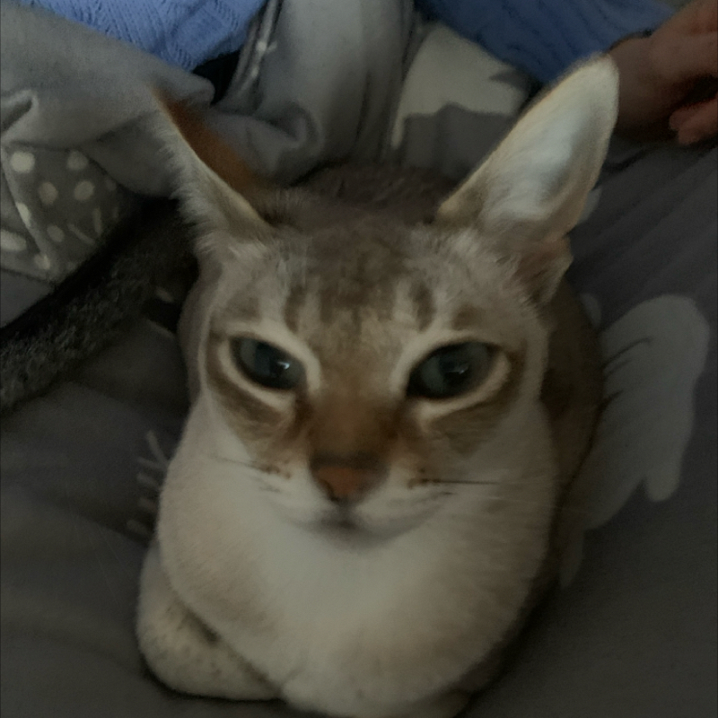 #1313 喉は商売道具