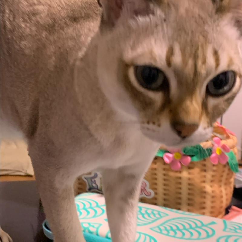 #1317 たのしんでほしい