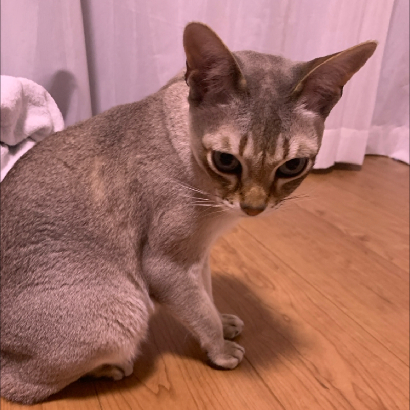 #1367 70歳のすごい人達