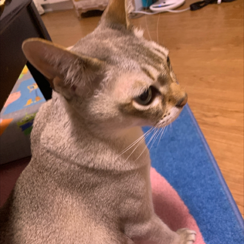 #1380 先輩が多い場所で
