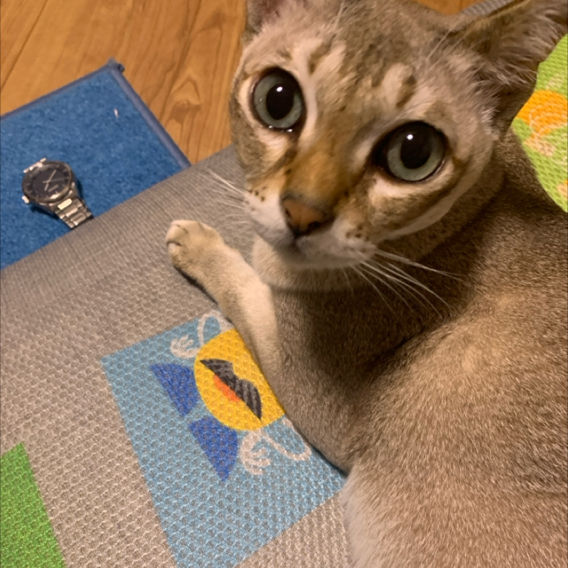 #1433 切り抜きを見たヤツ