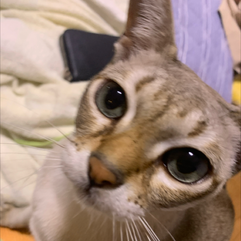 #1451 差し入れのハナシ